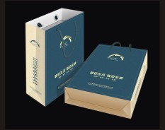 地產(chǎn)宣傳用手提袋 地產(chǎn)宣傳用手提袋